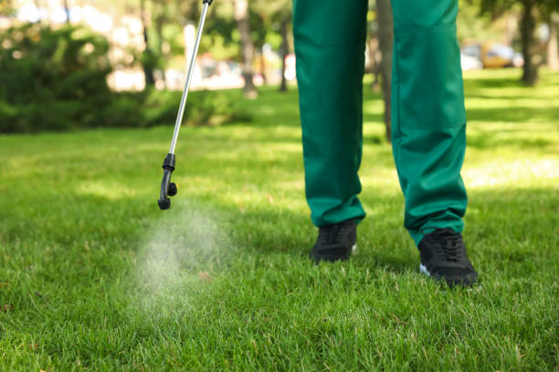 Best Local Pest Control Services  in St Pauls, NC