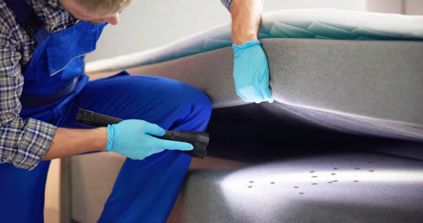 Best Pest Prevention Services  in St Pauls, NC