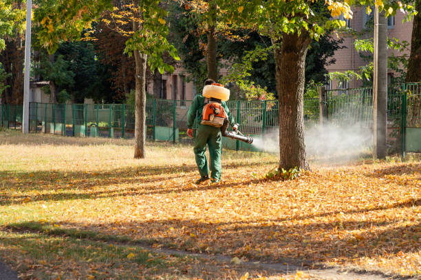 Best Bed Bug Extermination  in St Pauls, NC