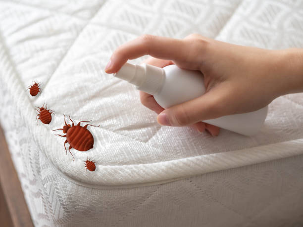 Best Commercial Pest Control Services  in St Pauls, NC