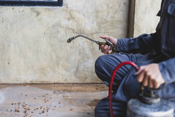 Best Best Pest Control Companies  in St Pauls, NC