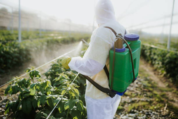 Best Mosquito Control Services  in St Pauls, NC